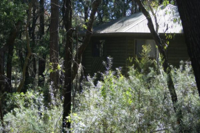 Twin Falls Bush Cottages